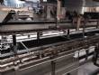 Encartuchadora automática vertical Fabrima