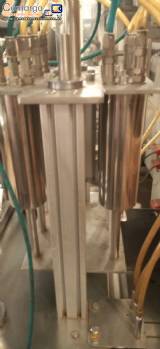 Envasadora linear 6 cilindros em inox Edwards