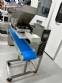 Dosadora pingadeira one shot para chocolate bombom trufa Alimtec com 3 bicos