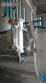 Caldeira � lenha 400 kg h W.V.W