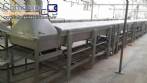 Linha macarr�o instant�neo lamen